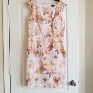 Brooks Brothers Women's Dress
